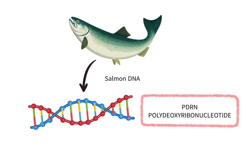 What is PDRN in Skincare? Benefits, Uses & Who It’s For