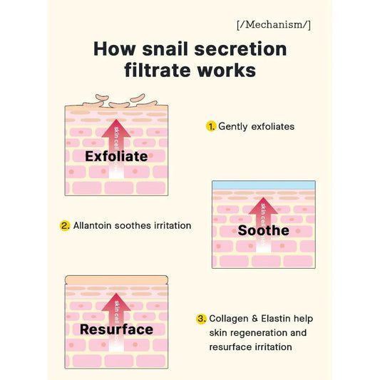 Let’s Snail It Duo